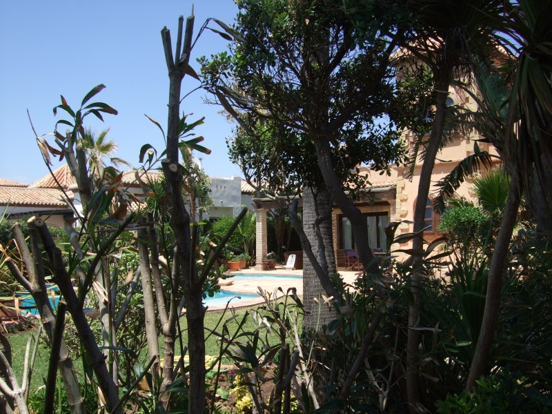 Anadalusien 2009 - 0184 